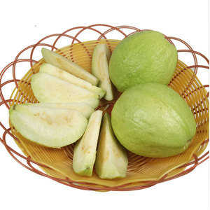 福建漳州超大黄心芭乐新鲜水果当季现摘现发脆甜番石榴5斤