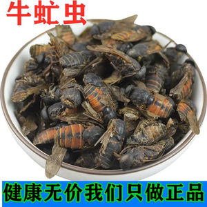 410人付款淘宝中药材牛虻虫干货野生牤虫牛蚊子牛蝇子牛苍蝇牛虻虫 多