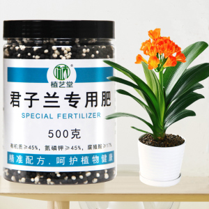 养君子兰的肥料