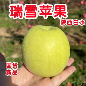 【顺丰】陕西白水瑞雪苹果脆甜清香纯正国货新鲜西北农林青苹果黄