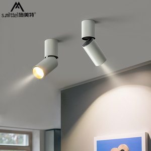 无主灯照明客厅明装筒灯单头射灯led天花灯玄关灯过道走廊小射灯