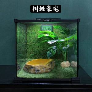 树栖蛙姥爷树蛙睫角顶开门玻璃缸亚克力通风透光饲养缸套装