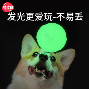 狗狗玩具球耐咬泰迪宠物小狗柯基磨牙球类弹力球橡胶球实心的咬球