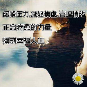 缓解压力.减轻焦虑.管理情绪.正念疗愈的力量,撬动幸福人生