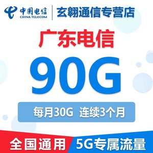 广东电信流量充值90G中国电信流量加油叠加包全国通用30G*3个月