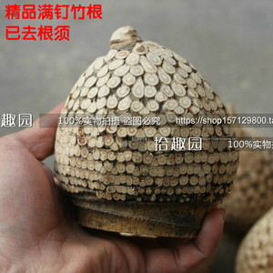 精品满钉竹根料 竹根材料 雕刻材料 满钉金蟾料