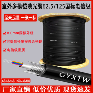 国标室外多模4/6/8/12芯光缆62.5 GYXTW-4A1b户外铠装多模光纤线