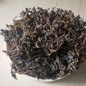 苏北农家野生新鲜马齿苋干马菜干蚂蚁菜马齿觅菜干五行草全国包邮