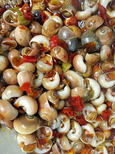 即食白玉螺麻辣香螺海螺黄玉螺肚脐螺扁玉螺400克