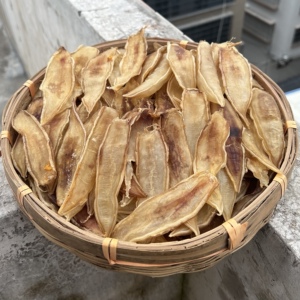 鱼胶花胶赤嘴鳘北海双须金龙500g孕妇滋补鳘鱼深海黄花胶干货正品