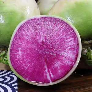 农家新鲜蔬菜水果青皮红心现挖带泥心里美萝卜红心非东北泡菜胭脂