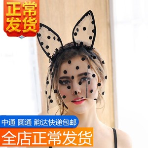 图片耳朵蕾丝女郎猫头饰情趣内衣套装发箍夜店火激情用品性感sm骚配件情趣用品加长头图片