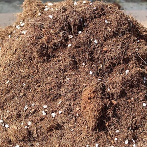 通用型老陈家花土种植土多肉营养土包邮绿萝专用土花泥土壤杭州