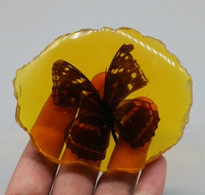 人造琥珀标本树脂工艺品 真虫昆虫动物原石化石仿真虫珀摆件蝴蝶