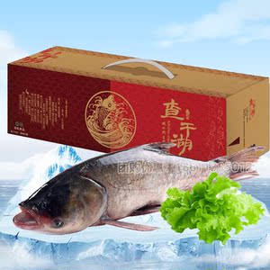 查干湖胖头鱼