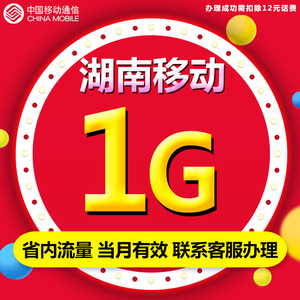 湖南长沙移动网上 营业厅_湖南移动流量秒杀_湖南非税移动缴费平台