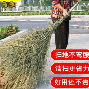 环卫工扫大街的扫把