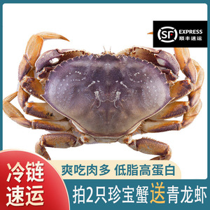 珍宝蟹进口鲜活速冻黄金蟹冰鲜梭子蟹面包蟹超大螃蟹1斤-4斤包邮