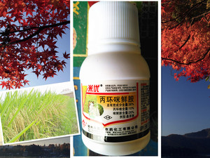 36%丙环唑咪鲜胺 米优 水稻稻瘟病纹枯病稻曲病专用杀菌剂40g