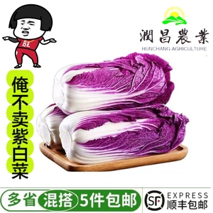 紫白菜新鲜蔬菜沙拉西餐食材富含花青素凉拌生吃