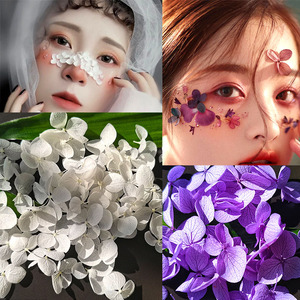 贴脸干花面部化妆贴花仙女妆容小花新娘舞台表演创意森系花朵妆面