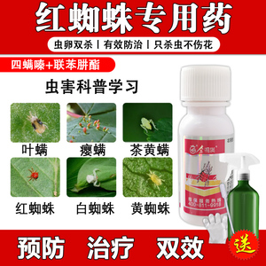 红蜘蛛专用药