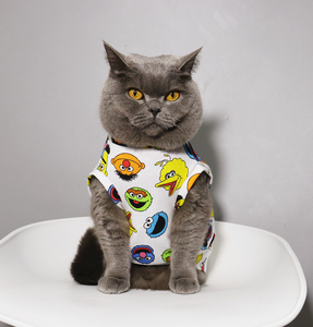 潮宠物猫咪衣服春夏季薄款防掉毛宠物幼猫t恤透气短袖猫衣服 卡通