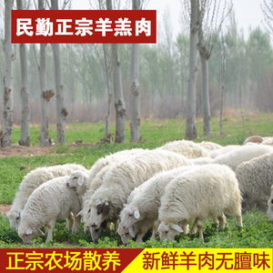 民勤羊肉