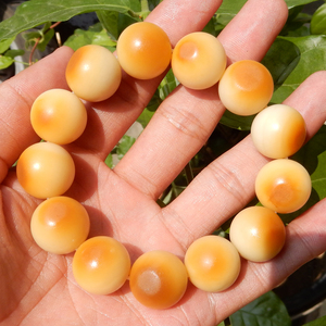 方言巨漏精品收藏级河北唐河老熟黄沁皮白玉籽料圆珠16mm手串w