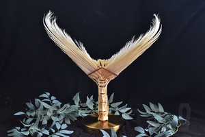 【需定制】鱼尾巴骨骼标本 马林鱼 剑鱼尾真骨标本 大鱼尾 海鱼尾