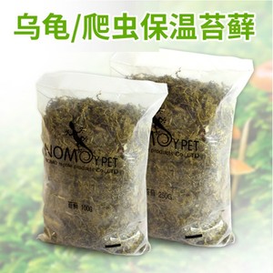 天然苔藓（250g）快递打包 乌龟/蜥蜴爬虫保温保湿保水冬眠干苔藓