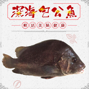 鲜活水产 海鱼 黑包公鱼 斑加吉 活鱼现杀 满3斤发顺丰