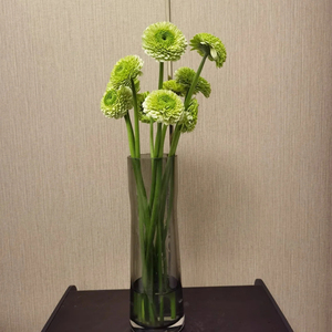 嘉禾弗朗扶郎花爱丁堡 网红款家用插花鲜花速递2扎江浙沪顺丰包邮