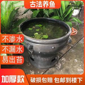 大缸庭院养鱼虎头缸金鱼古法鱼泥盆缸盆老北京鱼缸泥盆黑陶鱼盆睡