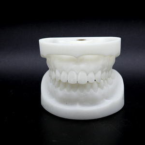 牙科白刚玉牙模型牙模牙科教学模型口腔全口牙齿标准模具医患沟通