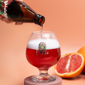 狒话西柚拉格啤酒 原浆果啤 清爽微醺 1箱6瓶