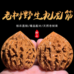 文玩核桃狮子头九龙筋野生小众精品特大收藏级手把玩件老树麻核桃