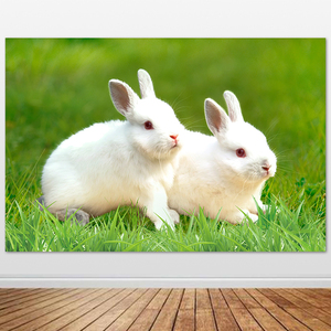兔子挂画小白兔装饰画生肖儿童房两只兔子早教自粘背景墙贴画定制