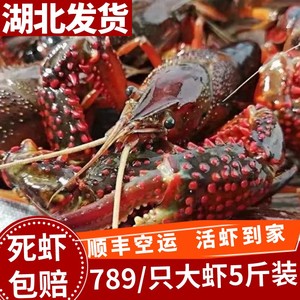 5斤789钱湖北小龙虾鲜活水产汉川清水稻田虾青红壳活虾顺丰包邮
