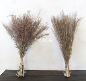 原创云南天然干花孔雀草蚊子草舞台拍摄道具稻谷稻子芦苇花