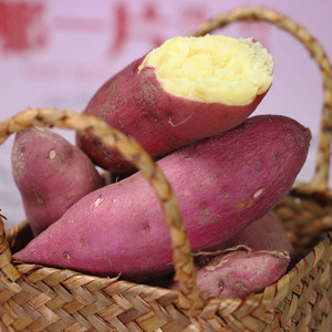 海南沙村地瓜板栗红薯日本引种新鲜安纳芋红蜜薯约5斤包邮