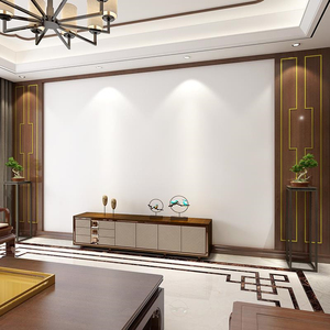 新中式客厅电视背景墙护墙板装饰板边框沙发实木造型别墅集成墙板