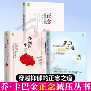 乔卡巴金正念减压书籍全3册 正念此刻是一枝花+穿越抑郁的正念之道+多舛的生命正念疗愈帮你抚平压力疼痛和创伤 改善情绪正念疗法