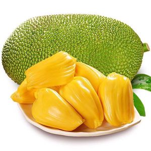 海南特产热带水果菠萝蜜20年老树一整个现摘当季新鲜水果包邮直发