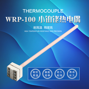 S型进口小铂铑高温WRP-100型马弗炉实验炉专用99刚玉保护管热电偶