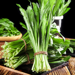 大香菜250g新鲜老缅甸芫荽香菜刺芹刺芫荽芫茜元西云南德宏大芫荽