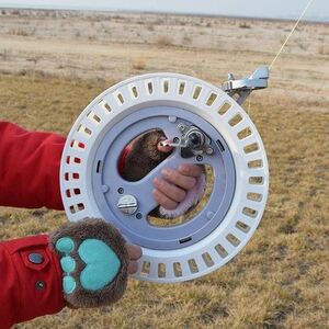 凤筝线轮收线盘圈线器风筝手轮轴承轮耐摔成人风筝放飞线轮