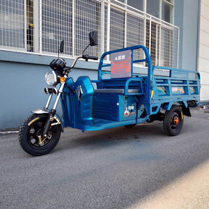 国威电动三轮车3c认证可上牌拉货载重王货运老人休闲家用三轮电车