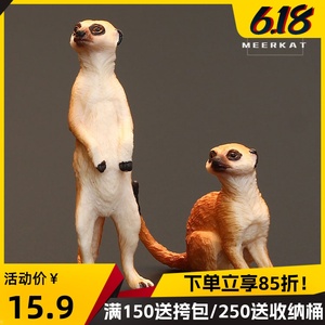 实心仿真动物模型套装禽类动物玩具 狐蒙 獴哥 细尾獴 猫鼬灰爪狸