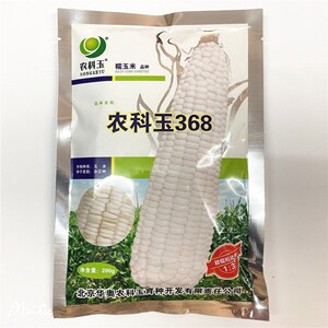 糯玉米种子农科玉368甜加糯京科糯万糯2000农科糯336甜糯玉米种籽